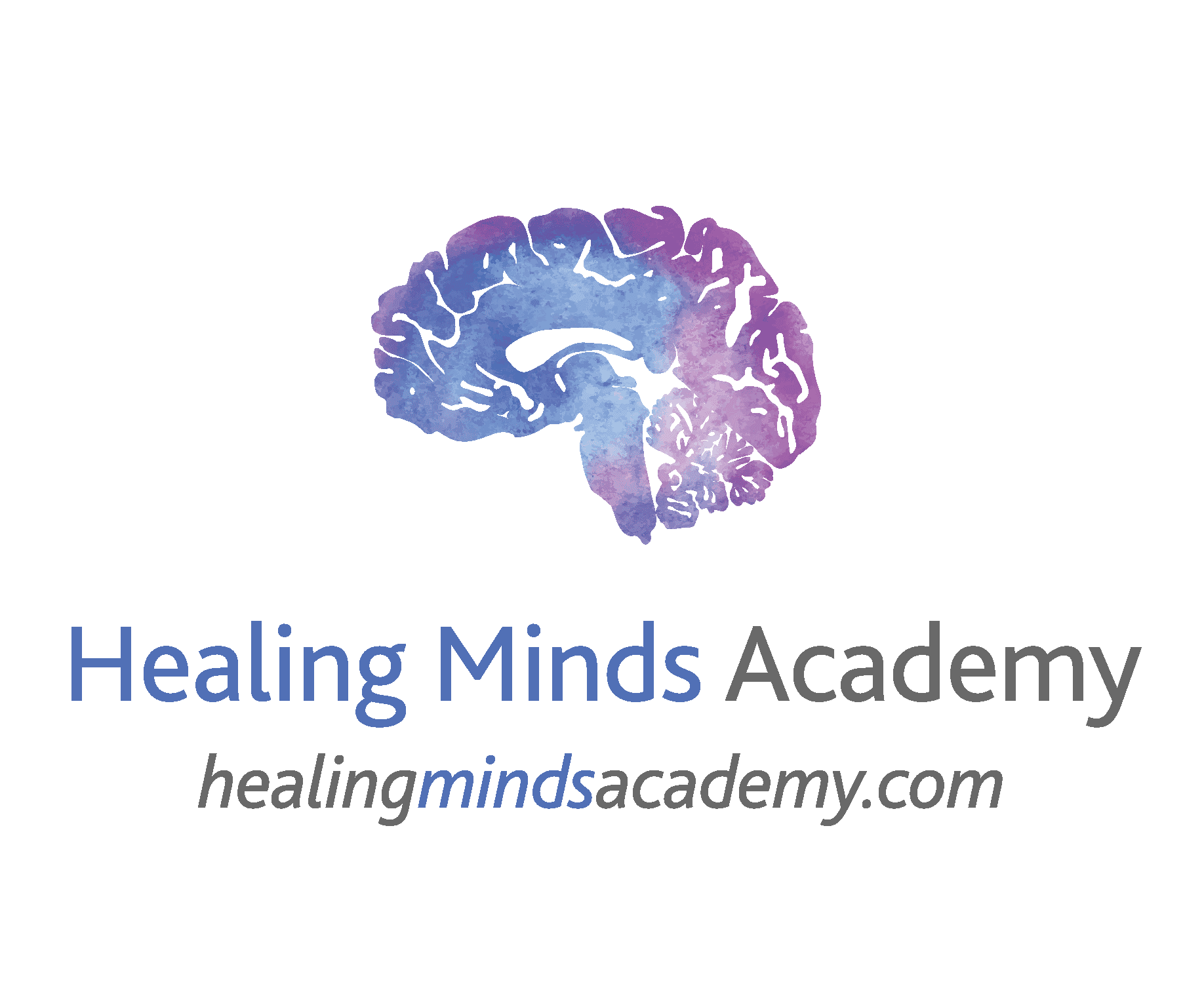 Healing Minds Academy
